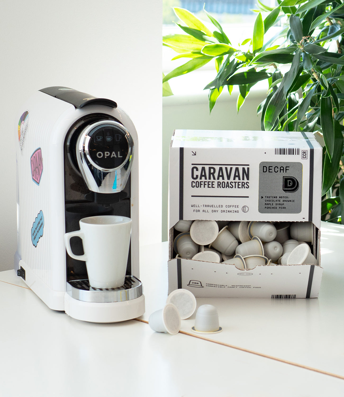 Decaf Coffee Pods
