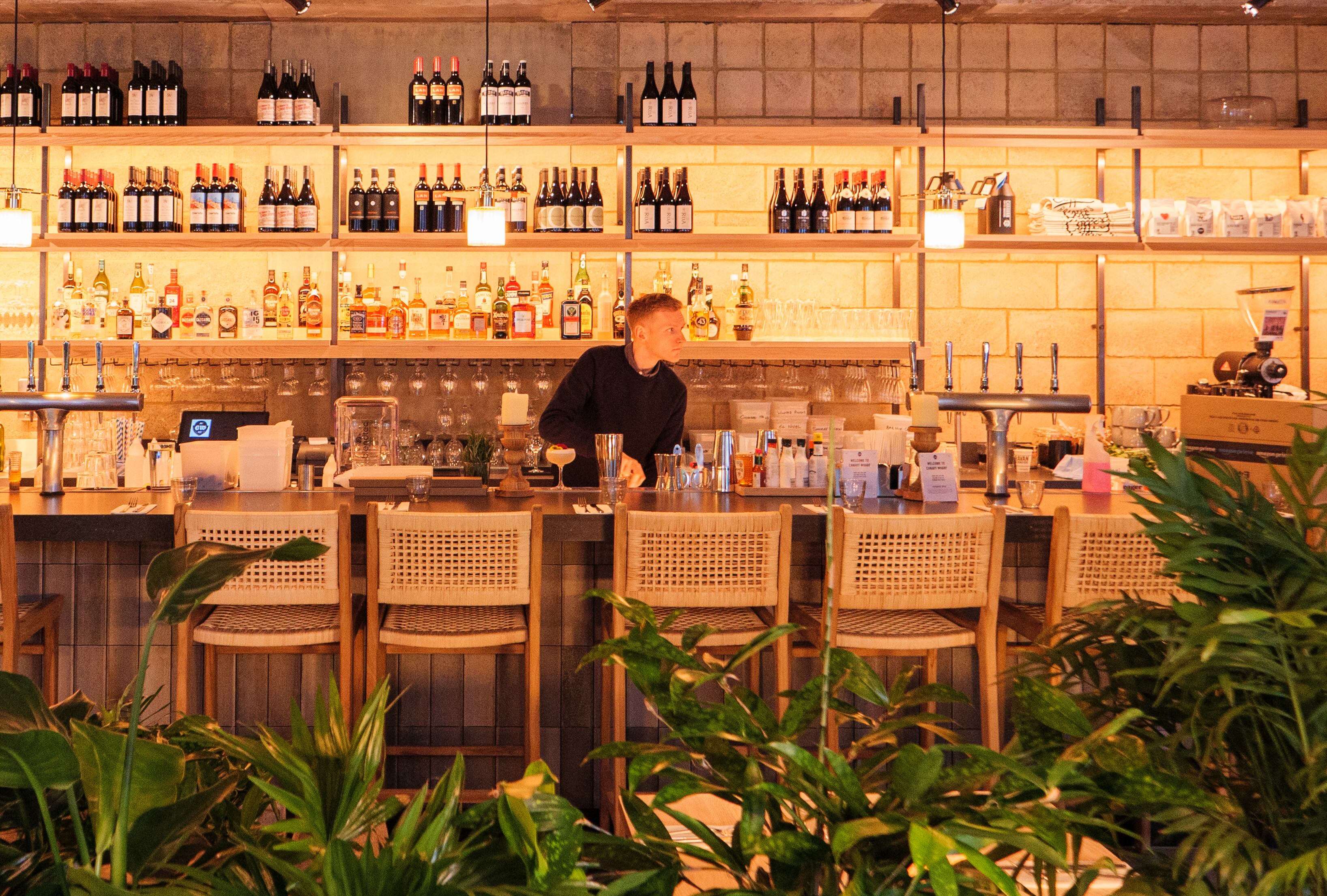 The bar at Caravan Canary Wharf with plants in the foreground