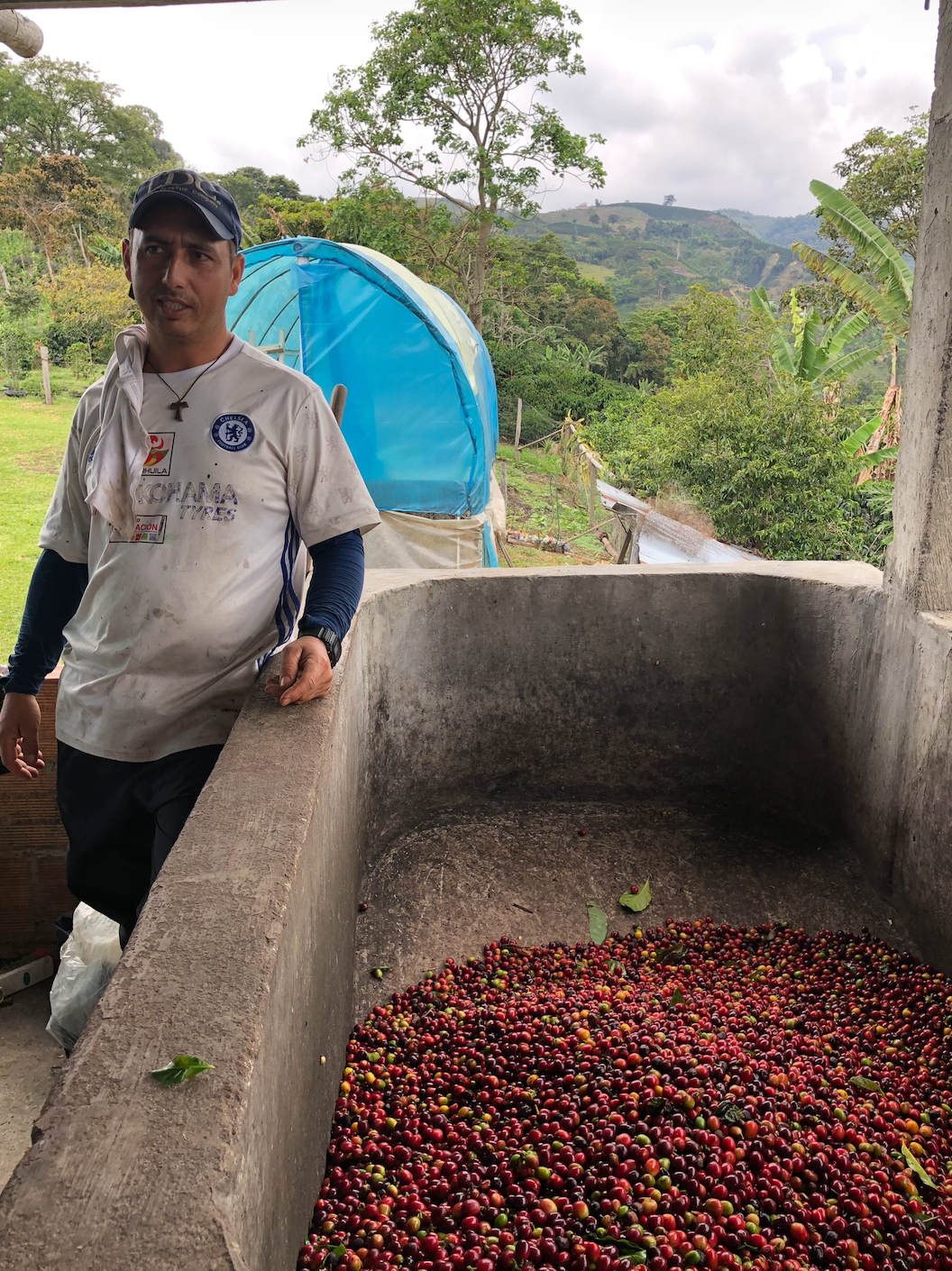 Hervey & Rocio Cuellar