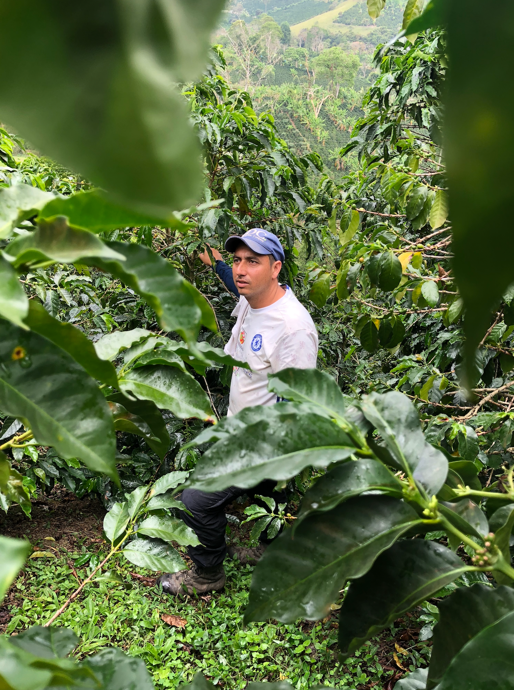 Hervey & Rocio Cuellar